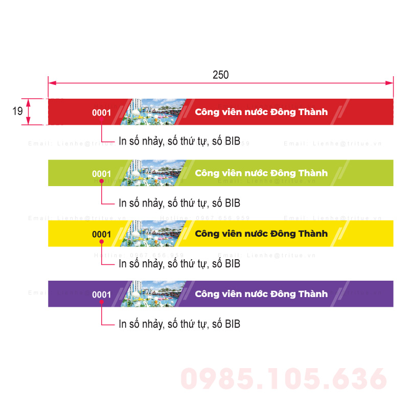 Thiết kế vòng tay giấy cho hồ bơi bể bơi